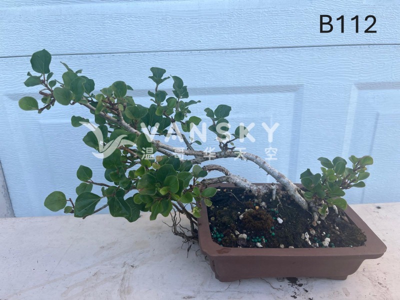 250920112652_B112 34 - 25-09.JPG